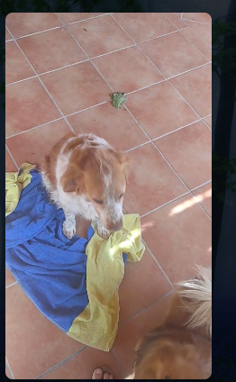 Captura de pantalla 2026-04-28 171730.png